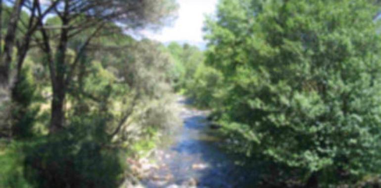 Resuelta la evaluación de impacto ambiental del proyecto restauración fluvial del bajo Sella 