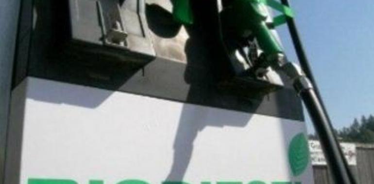 España modificó normativa sobre biodiesel para evitar litigio con la Argentina