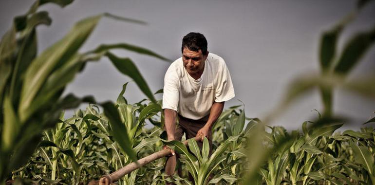 Oxfam critica la “política de tirita” del G20 para abordar la crisis del precio de los alimentos