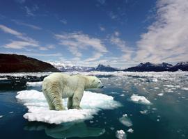 El calentamiento global afectará de forma desigual al Ártico y a la Antártida
