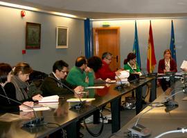 Asturias destina  200.000 euros a la promoción y fomento del voluntariado