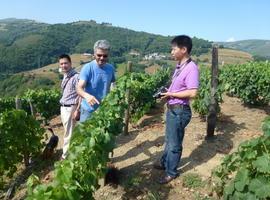 Desde Zhejiang al Monasterio de Corias en busca del vino selecto: los chinos sí que saben 
