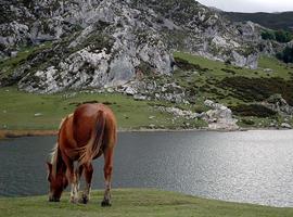 Más de cien empresarios buscan nuevas vías de promoción internacional del turismo asturiano