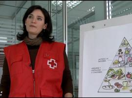 Cruz Roja completa la distribución de 559.488 kilos de alimentos en Asturias
