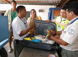 Niegan recurso de hábeas corpus a alemán sentenciado por delito ambiental en Galápagos
