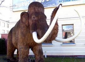La edad de los últimos mamuts, en entredicho