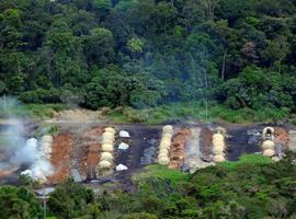Alertan del repunte de la deforestación en la Amazonía
