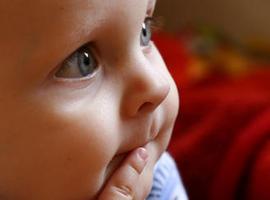 Los bebés tienen consciencia visual a los cinco meses 