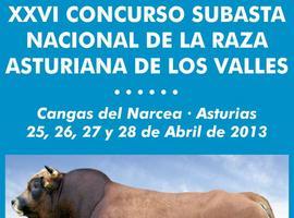 XXVI Concurso Subasta Nacional de la Raza Asturiana de los Valles