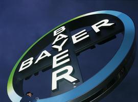 Bayer aumenta su facturación en la región Iberia pese al difícil entorno económico