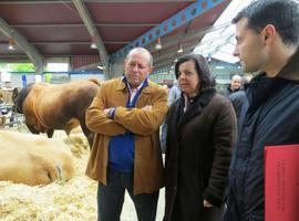 Agroganadería aumenta en 142.000 euros la ayuda a ASEAVA