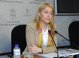 Coto: “El ofrecimiento de Fernández-Miranda para liderar el PP es el enésimo reconocimiento del fracaso”