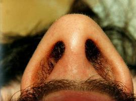Medio centenar de especialistas analizan en Cabueñes las técnicas más novedosas en cirugía de nariz 
