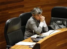 La huelga en Educación registra un seguimiento del 38,24% en Asturias, según el Principado