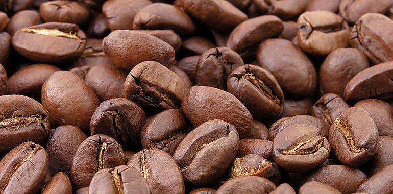 El consumo de cafeína dictado por dos genes
