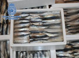 Cae una banda de narcos que introducía hachís en España oculto entre sardinas \drogotas\