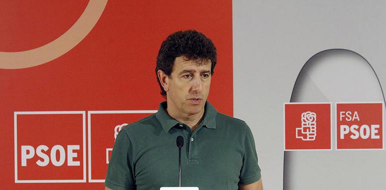 "El PSOE confrontará con Almunia porque la decisión de devolver las ayudas al naval es infumable"