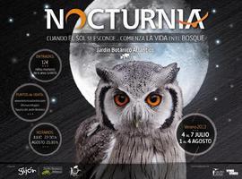 El botánico estrena nocturnia, primer y único documental en vivo para conocer las aves nocturnas