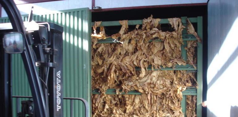 Un ingeniero de la Universidad de Valladolid desarrolla un sistema para el control del secado del tabaco