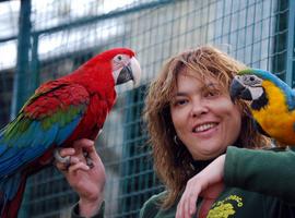 IU pide desbrozar con urgencia el acceso al Núcleo Zoológico El Bosque