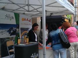 Más de 300 personas visitaron el stand de Aller en el Mercado Ecológico y Artesano de Gijón