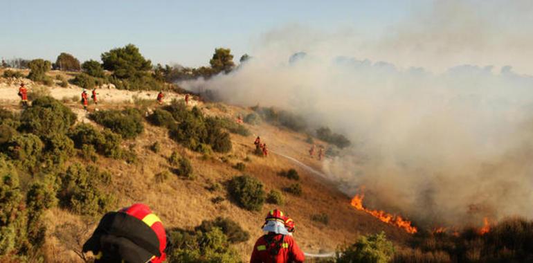 Asturias refuerza su estrategia contra el fuego, con una superficie forestal del 67% del territorio