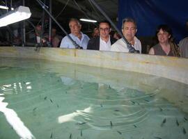 Murcia consigue un hito internacional en la reproducción del atún rojo en cautividad 