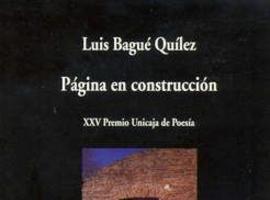 Luis Bagué Quílez logra el Premio Emilio Alarcos con su poemario \Paseo de la identidad\