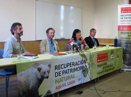  Fundación Banco Santander y la FOP plantan 18.000 árboles en el Alto Sil leonés 