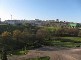El Grupo socialista reclama un plan de reforestación para el entorno urbano de Oviedo