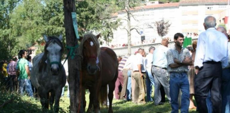 Curso de explotación de equinos en el marco del Programa Formativo Agroalimentario 2011