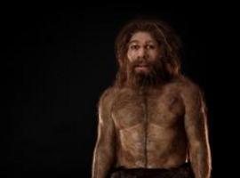 Los neandertales usaban palillos para calmar dolores de boca