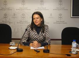 López Ares (PP) denuncia falta de información sobre el decreto para el futuro educativo en Asturias
