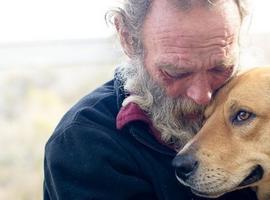 \Milagro de Navidad\: Las donaciones salvan la vida del perro atropellado de un indigente  