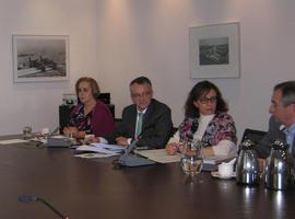 El Plan de Mejora de la calidad del Aire en Gijón y Carreño, a participación pública