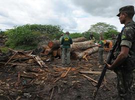 La solidaridad internacional logra la expulsión de los madereros ilegales en tierras de los Awa