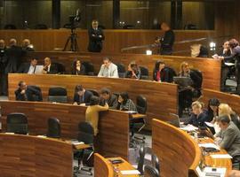 El Parlamento de Asturias insta al Gobierno central a retirar el anteproyecto de Ley contra el aborto