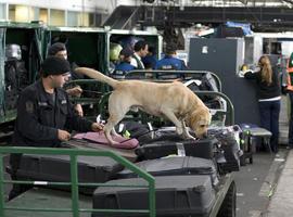 Detenidos dos españoles con más de 13 kilos de cocaína en el aeropuerto de Ezeiza