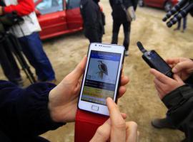 Primera aplicación móvil para observar y conocer las aves españolas