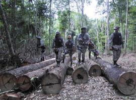 Victoria: Expulsados los madereros y ganaderos de la selva de los Awá
