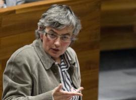 Ana González acusa al PP de “mentir” sobre las obras del CP \Carmen Ruiz Tilve\ de Oviedo