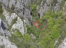 El helicóptero rescata una senderista herida en la ruta del Alba, Sobrescobio