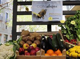Geeenpeace mostrará en Avilés un desolador mercado sin abejas