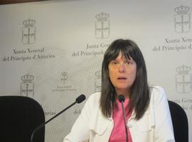 El PP hará una campaña contra la oferta de Lengua asturiana en Primaria 