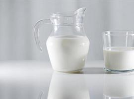 El calcio de la leche de vaca previene el sobrepeso y la obesidad, según estudio asturiano