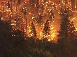 Más de 350 hectáreas afectadas por el incendio forestal de Carballeda de Valdeorras 