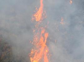 Aún activo el fuego en Soto la Barca, otro incendio forestal amenaza Somiedo