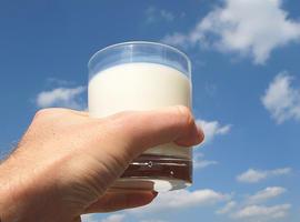 Los productores de leche piden aumento de los precios en origen