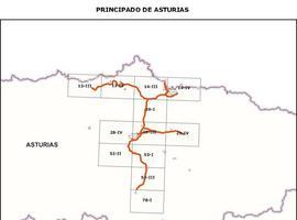 Fomento licita actuaciones de conservación y explotación en varias carreteras de Asturias
