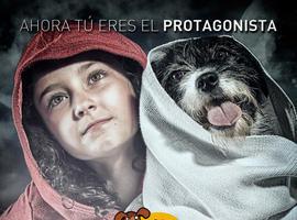 El gijonés Pablo Ventura presenta el calendario benéfico de la Fundación Amigos del Perro